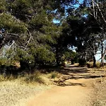 A 50 M De La Et Du Sentier Littoral Apartman Hyères