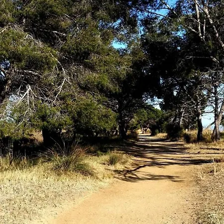 A 50 M De La Et Du Sentier Littoral דירה הייר