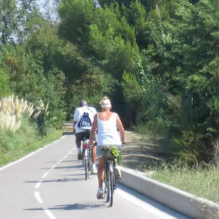 A 50 M De La Et Du Sentier Littoral Апартаменты *