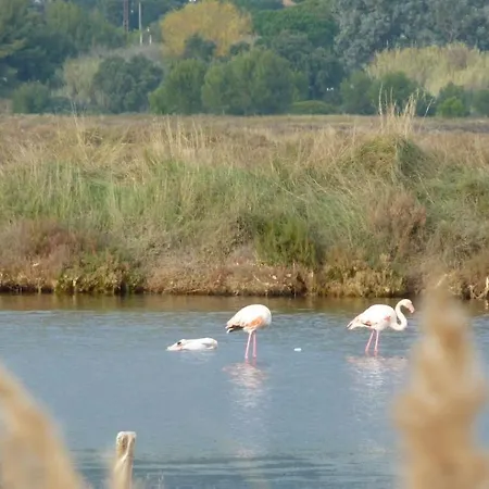 A 50 M De La Et Du Sentier Littoral *