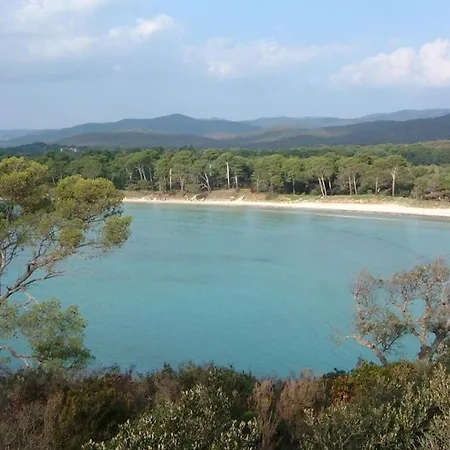 Appartement à 50 M De La Et Du Sentier Littoral Hyères