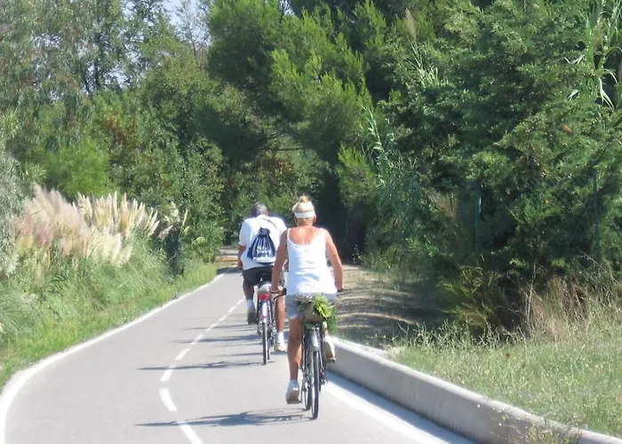 A 50 M De La Et Du Sentier Littoral Apartman *