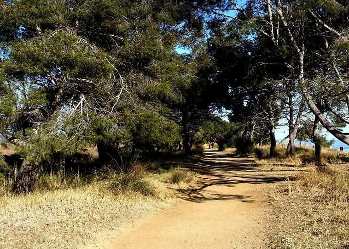 A 50 M De La Et Du Sentier Littoral Lejlighed Hyères