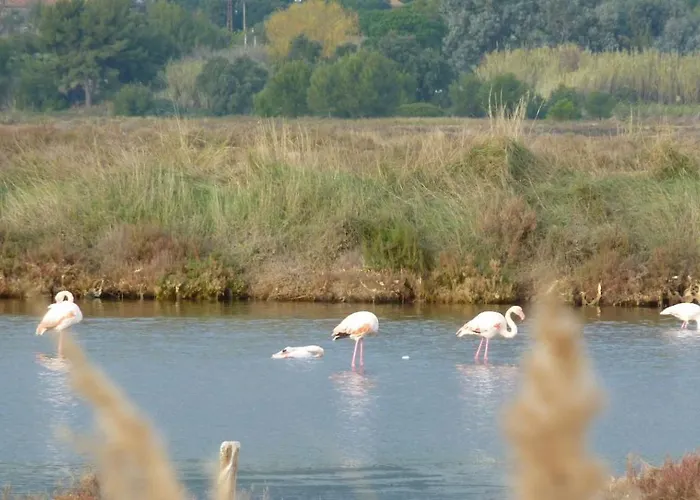 A 50 M De La Et Du Sentier Littoral *