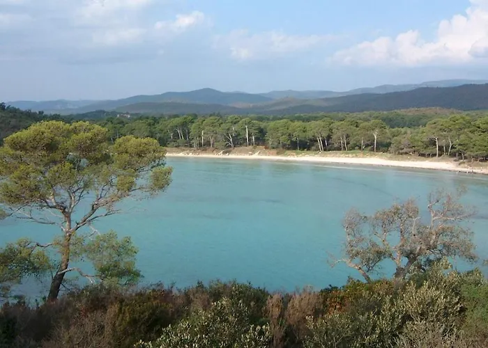 Lejlighed A 50 M De La Et Du Sentier Littoral Hyères